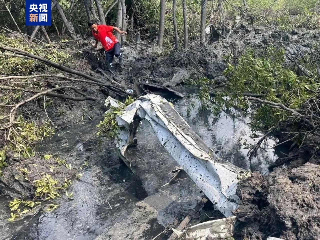 泰國一架載有9人的小型飛機在北柳府巴功縣一處紅樹林墜毀。（央視新聞圖片）